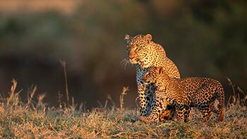 Samburu National Reserve